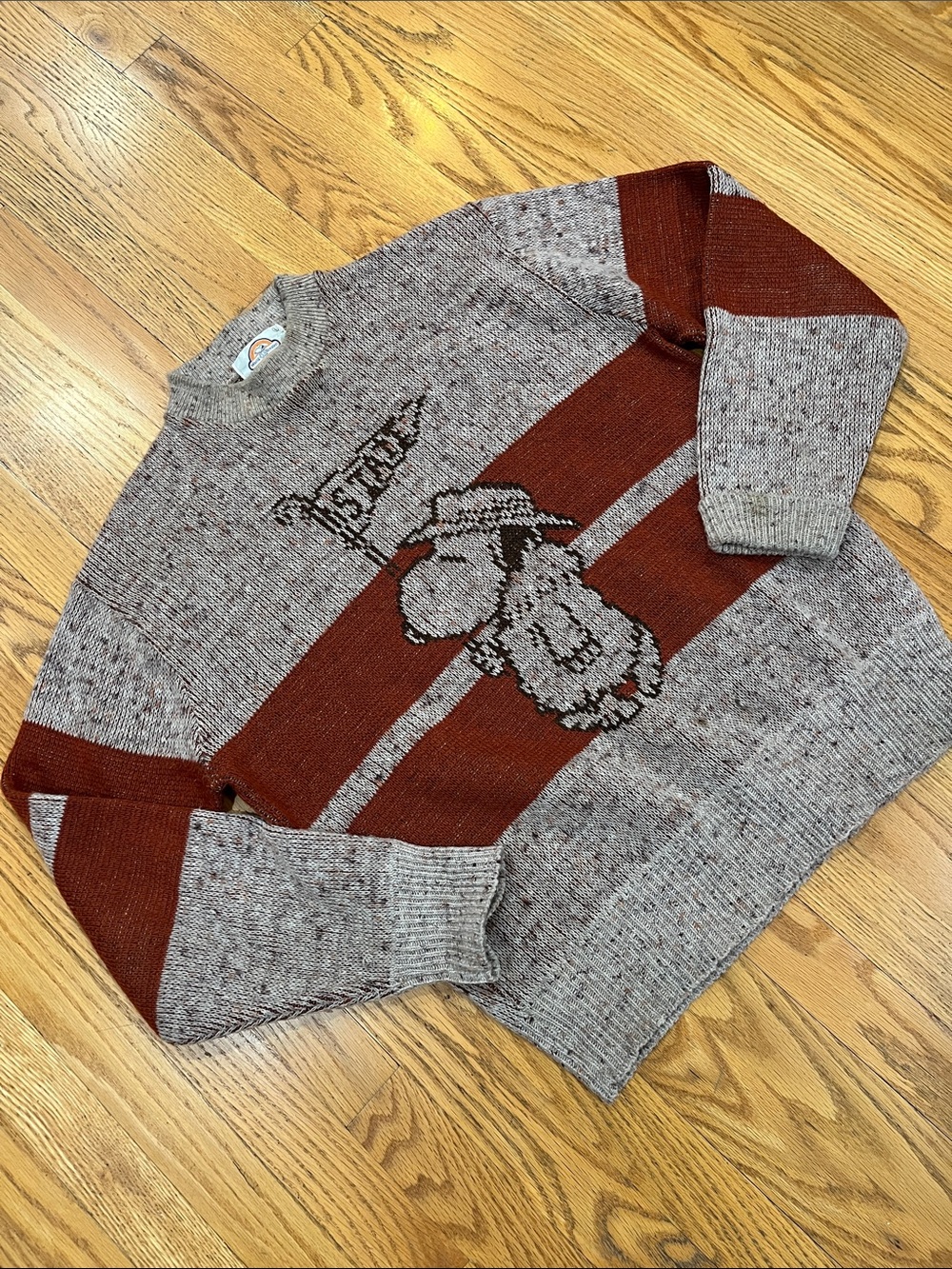Vtg ARROW Peanuts Snoopy Collegiate Style STATE Pennant Sweater 70s MCM  *READ*